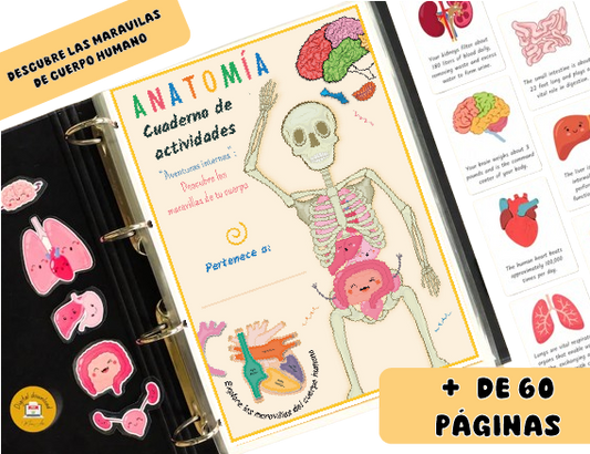 Anatomía - Libro de Actividades